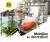 ☀ Summer sale loading promo până la -76% reducere! Naturlich.ro